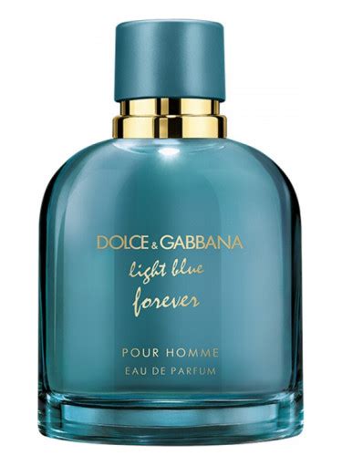 dolce gabbana forever 100ml|light blue forever fragrantica.